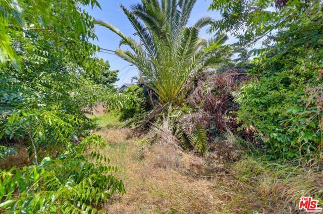 1247 W 49th Street, Los Angeles, CA 90037