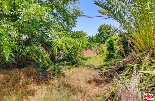 1247 W 49th Street, Los Angeles, CA 90037