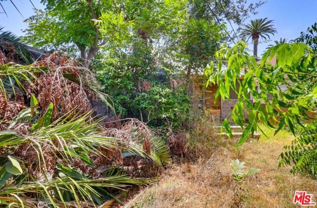 1247 W 49th Street, Los Angeles, CA 90037