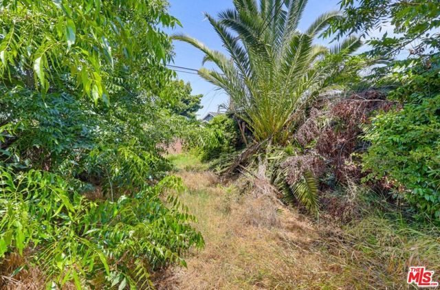 1247 W 49th Street, Los Angeles, CA 90037
