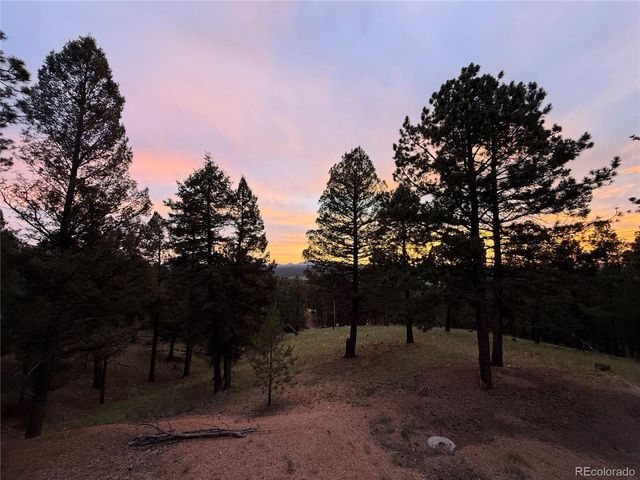 215 Southpark Rd, Florissant, CO 80816