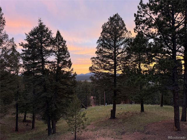 215 Southpark Rd, Florissant, CO 80816