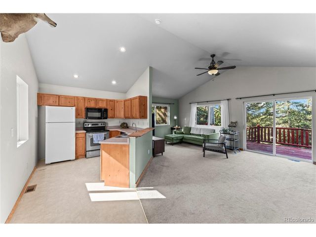 215 Southpark Rd, Florissant, CO 80816
