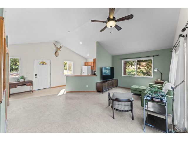 215 Southpark Rd, Florissant, CO 80816
