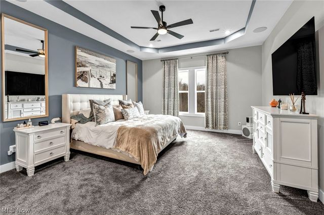 2818 Weeping Pine Drive, Medina, OH 44256