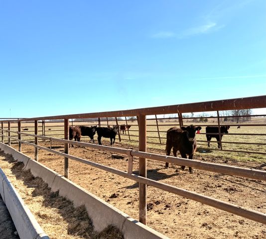 8948 Sunny Slope Lane, Mountain Grove, MO 65711