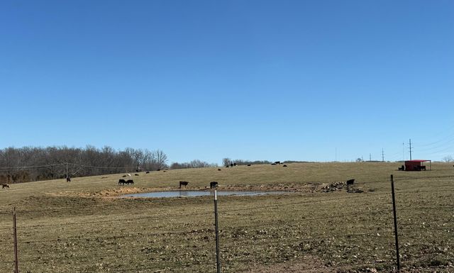 8948 Sunny Slope Lane, Mountain Grove, MO 65711