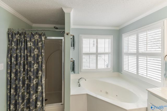 131 Silver Lake Circle, Madison, AL 35758