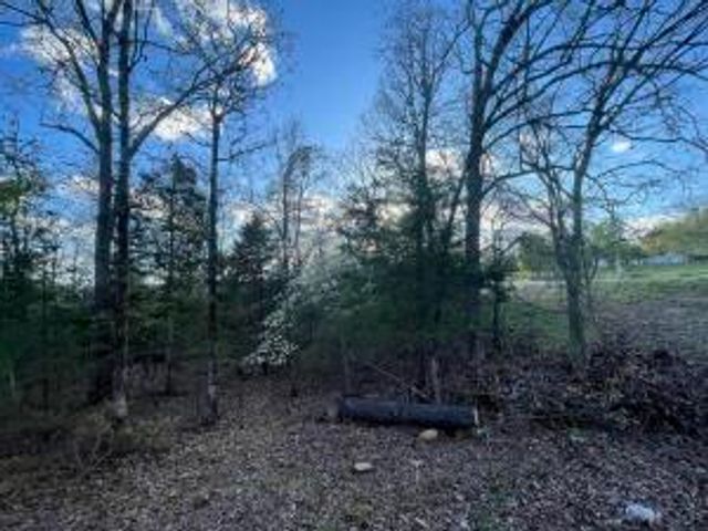 6.9 acres Hwy 125 S, Peel, AR 72668