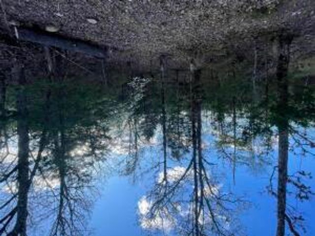 6.9 acres Hwy 125 S, Peel, AR 72668