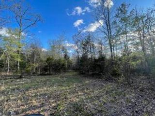 6.9 acres Hwy 125 S, Peel, AR 72668
