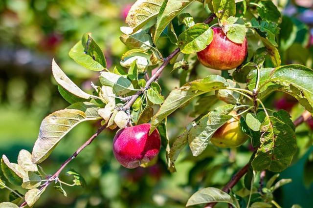 253 COUNTY HWY CE, Kaukauna, WI 54130