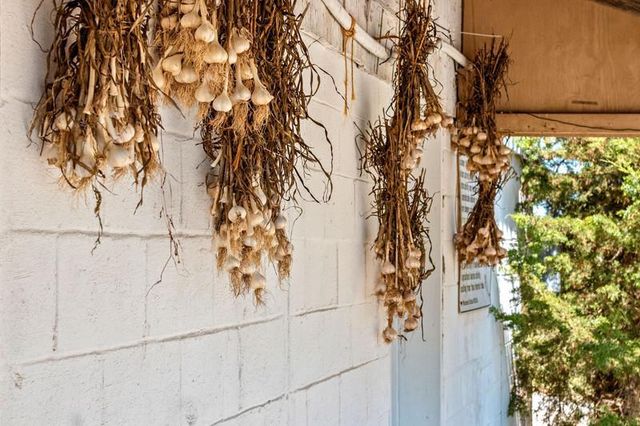 253 COUNTY HWY CE, Kaukauna, WI 54130