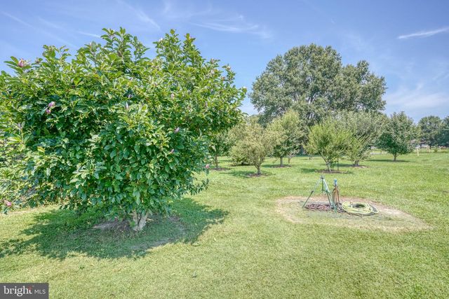 994 VERNON RD, Harrington, DE 19954