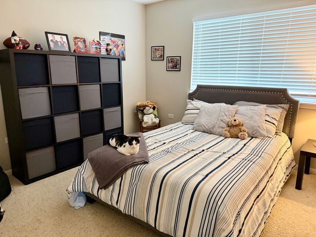 2939 SAGANASHKEE Lane, Naperville, IL 60564