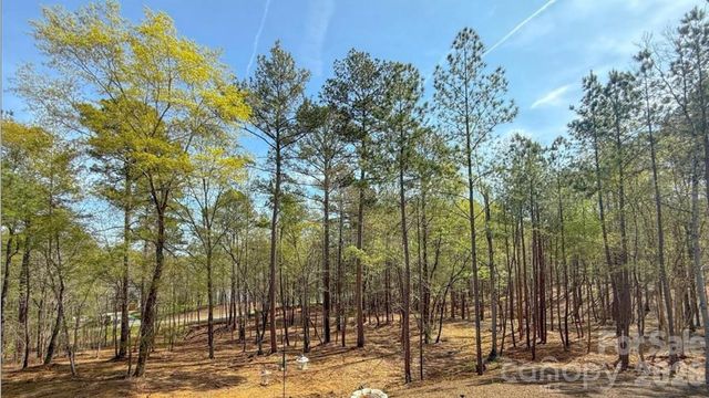8333 Catawba Cove Drive, Belmont, NC 28012