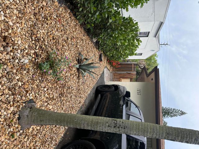 1827 Rodman Street 2, Hollywood, FL 33020