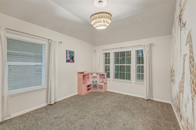 30214 Vinebriar Drive, Spring, TX 77386