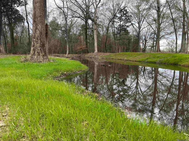 Lemon Rd, Slaughter, LA 70777