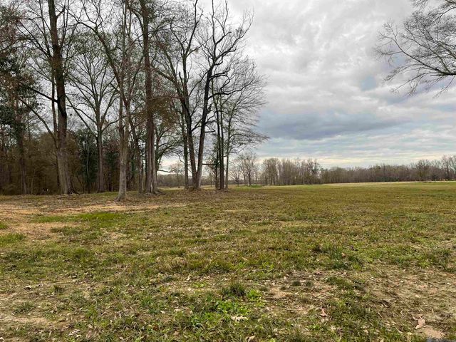 Lemon Rd, Slaughter, LA 70777