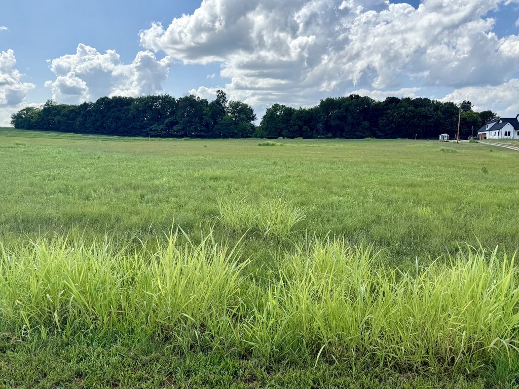165 Perdue Cemetery Rd, Portland, TN 37148