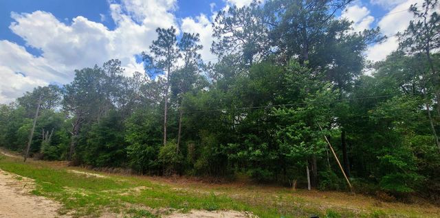 415 Pheasant Rd, Satsuma, FL 32189