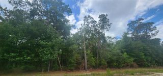 415 Pheasant Rd, Satsuma, FL 32189