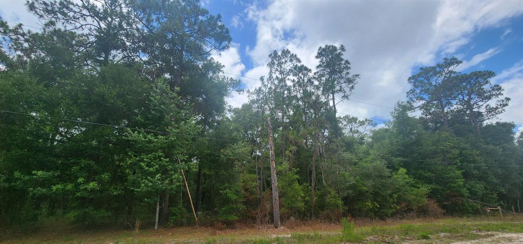 415 Pheasant Rd, Satsuma, FL 32189
