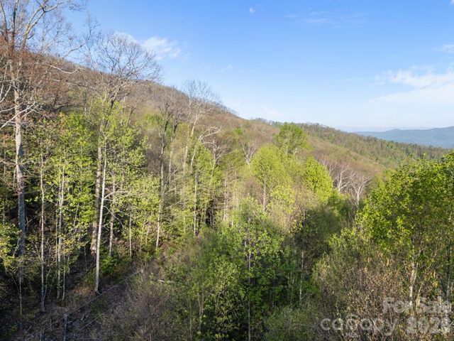 58 Mountain Azalea Drive, Swannanoa, NC 28778