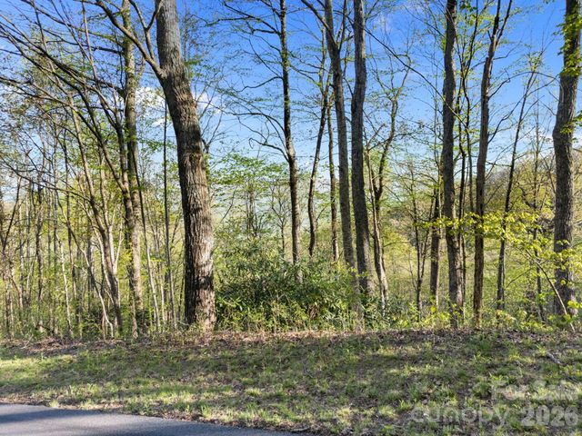 58 Mountain Azalea Drive, Swannanoa, NC 28778