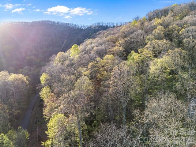 58 Mountain Azalea Drive, Swannanoa, NC 28778