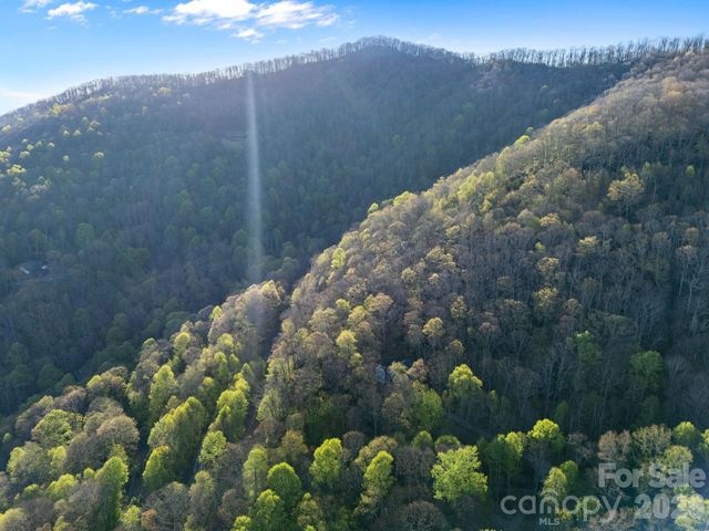 58 Mountain Azalea Drive, Swannanoa, NC 28778