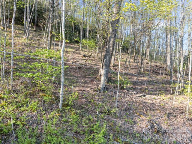 58 Mountain Azalea Drive, Swannanoa, NC 28778