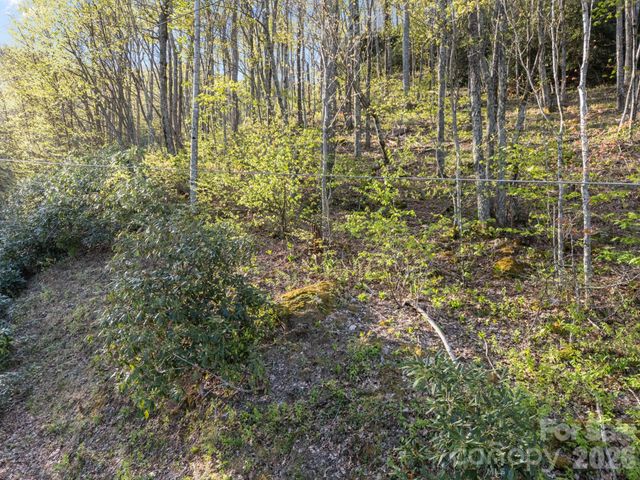58 Mountain Azalea Drive, Swannanoa, NC 28778