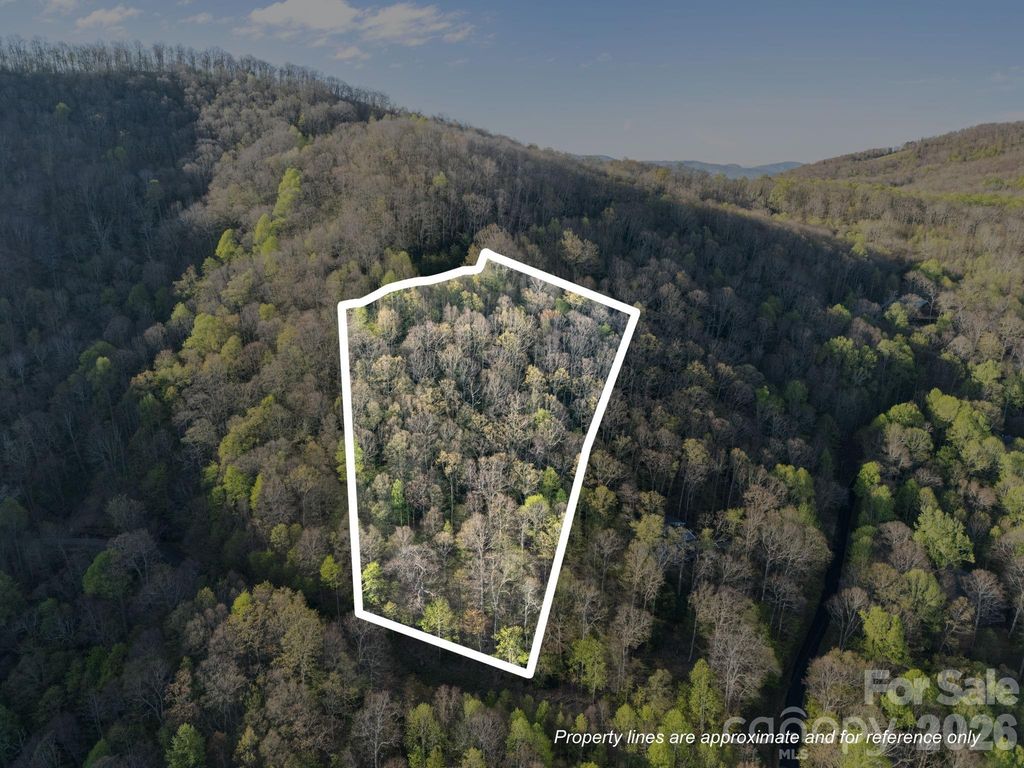 58 Mountain Azalea Drive, Swannanoa, NC 28778