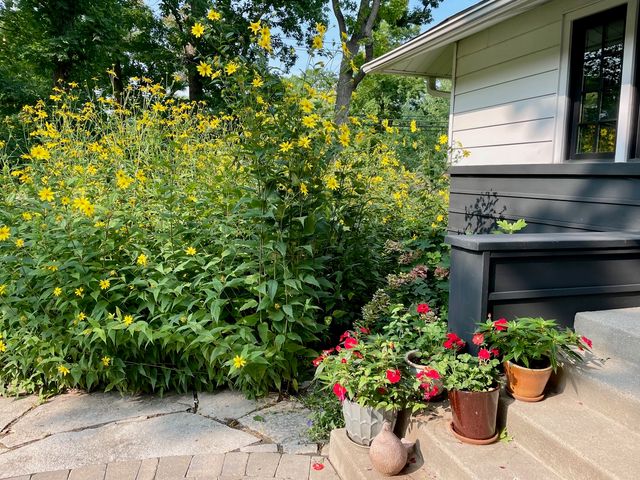 1184 Wade Street, Highland Park, IL 60035