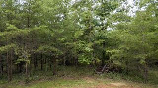 0 Valley Ln, Spencer, TN 38585