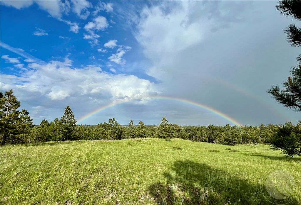 600 N Delphia Rd., Roundup, MT 59072 photo 10