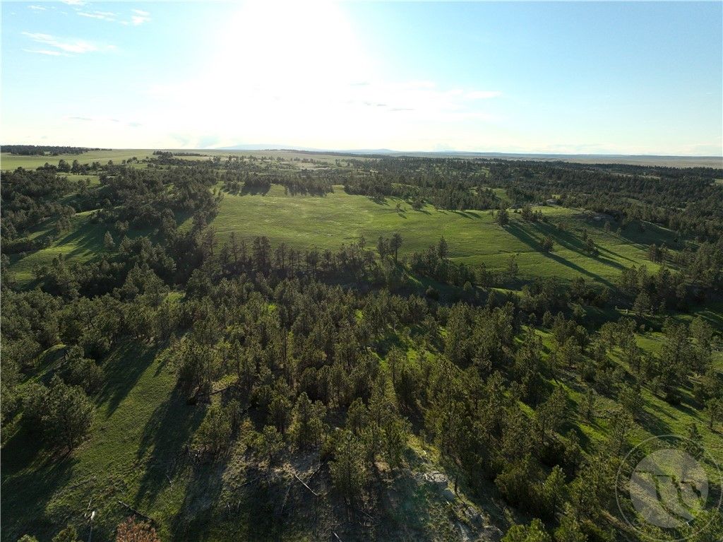 600 N Delphia Rd., Roundup, MT 59072 photo 11