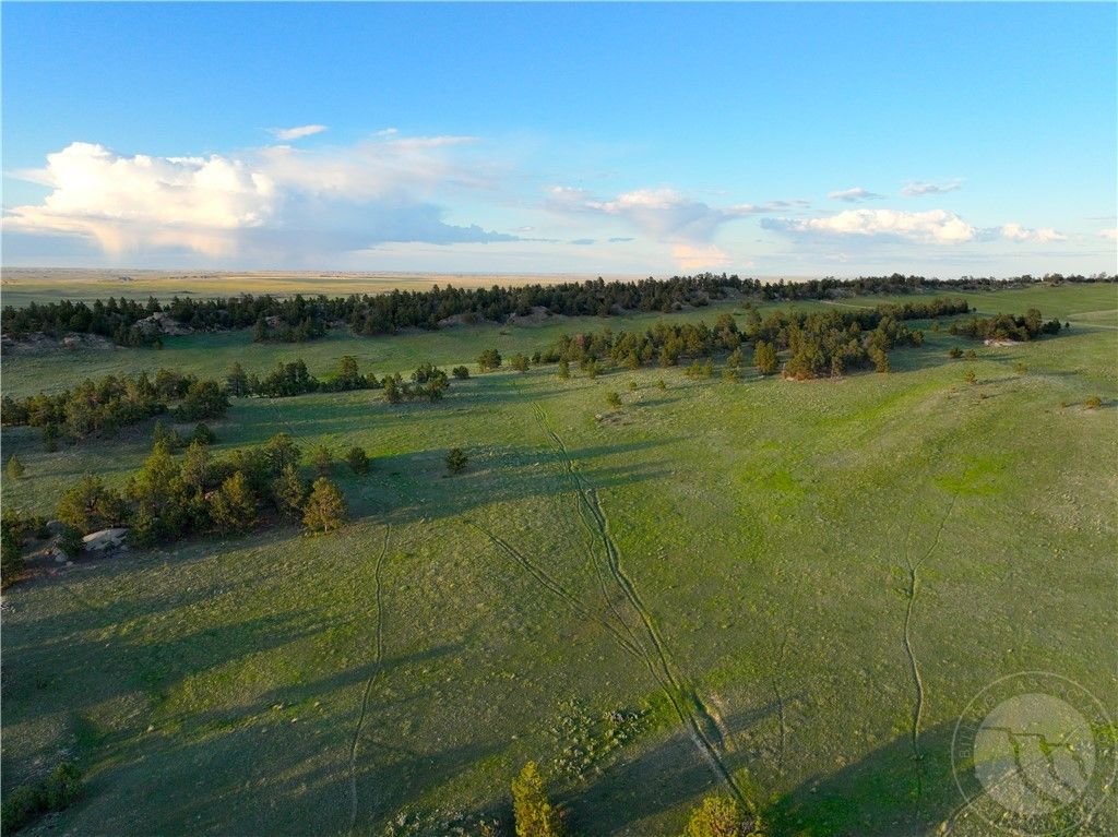 600 N Delphia Rd., Roundup, MT 59072 photo 13