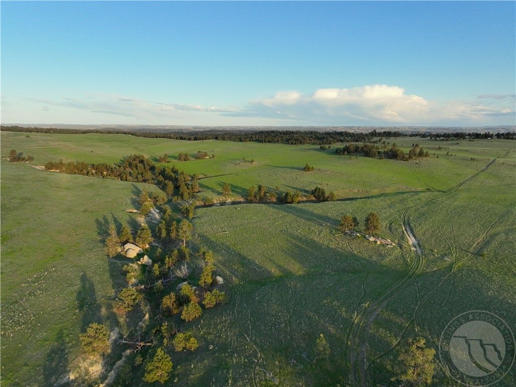 600 N Delphia Rd., Roundup, MT 59072 photo 14