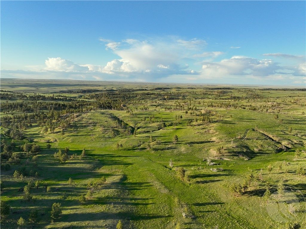 600 N Delphia Rd., Roundup, MT 59072 photo 15