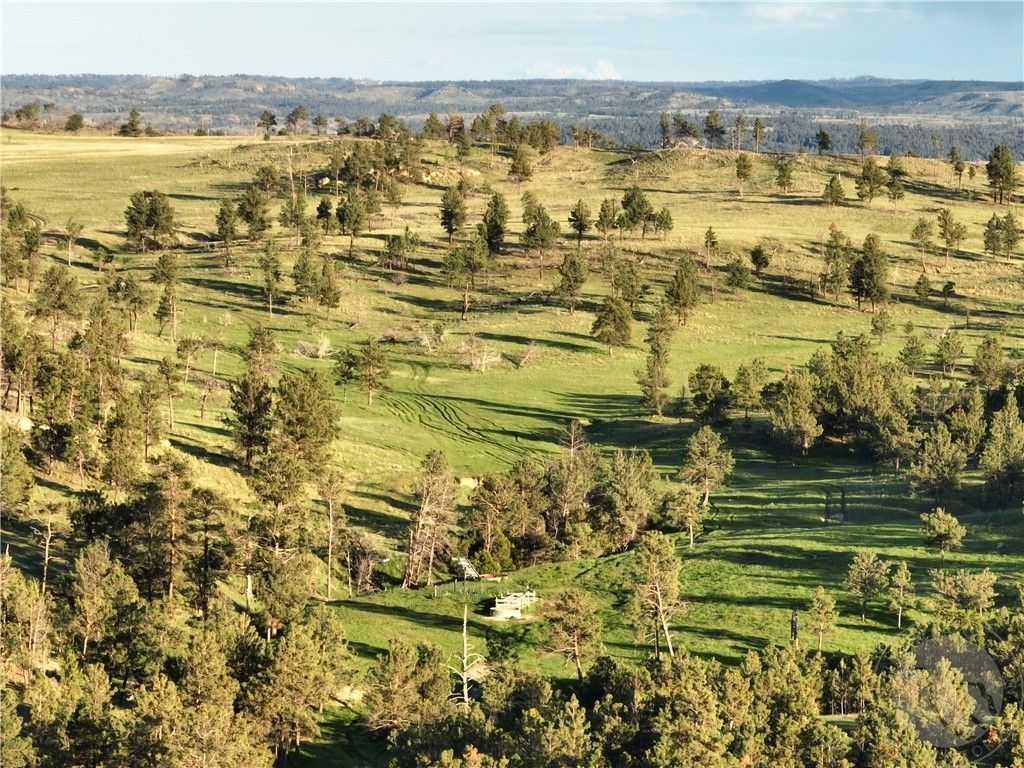 600 N Delphia Rd., Roundup, MT 59072 photo 16