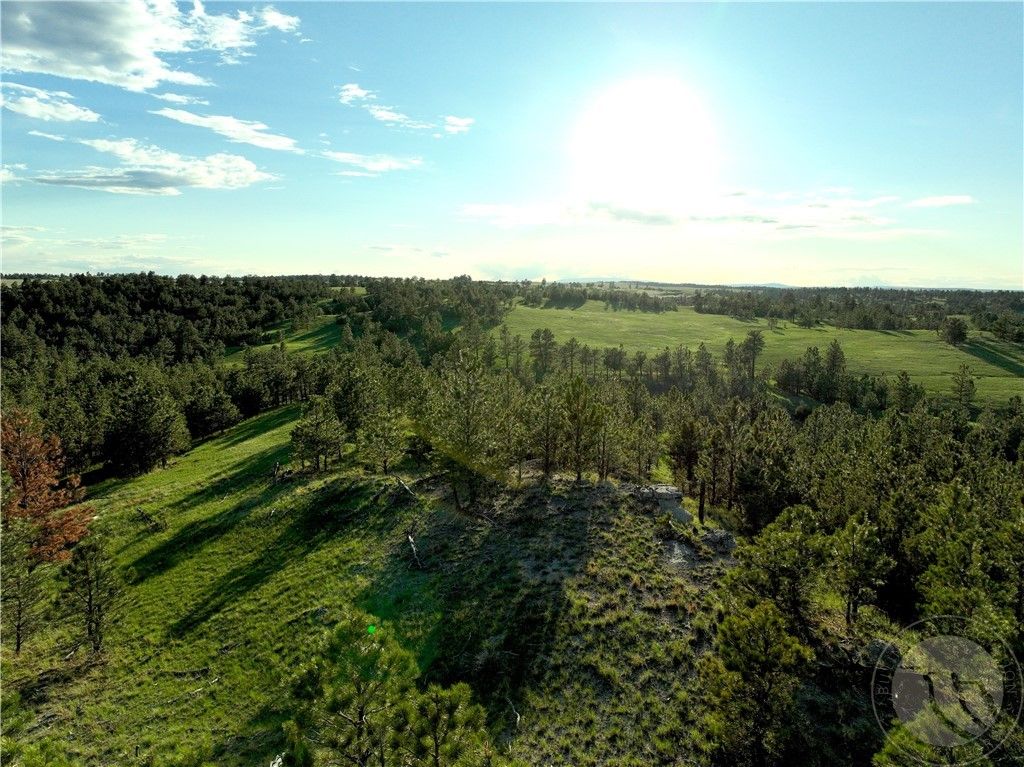 600 N Delphia Rd., Roundup, MT 59072 photo 17