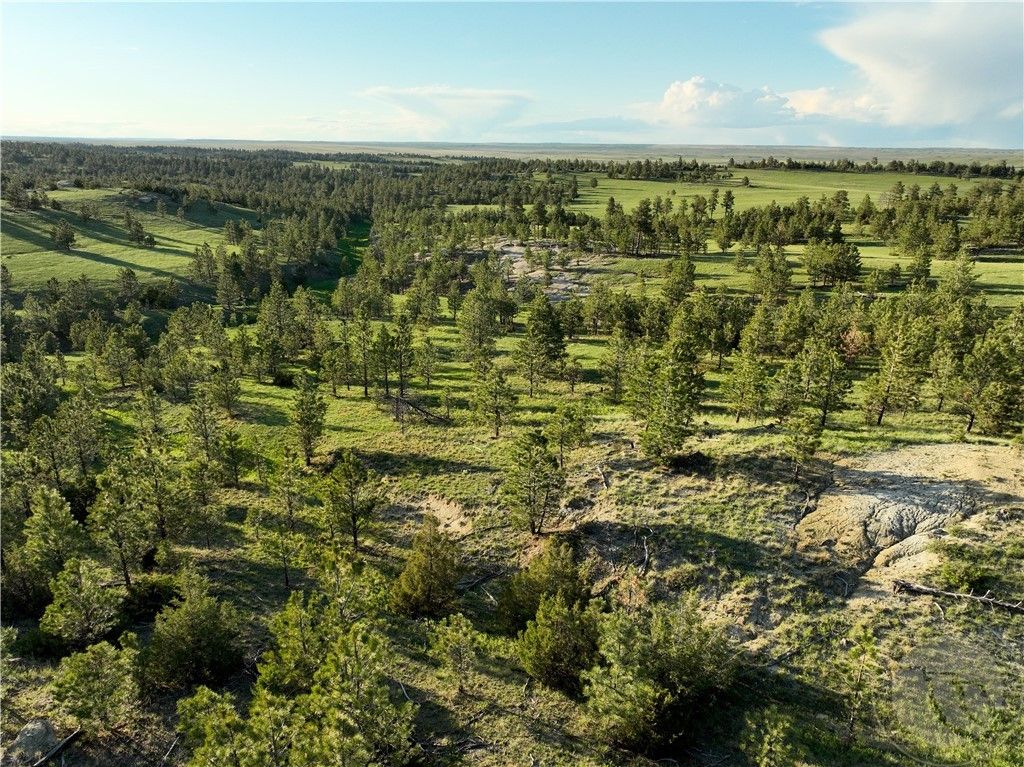 600 N Delphia Rd., Roundup, MT 59072 photo 19