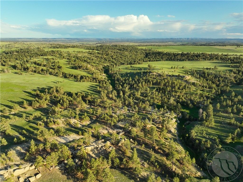 600 N Delphia Rd., Roundup, MT 59072 photo 21