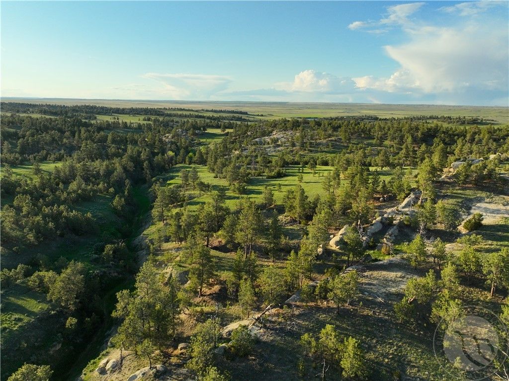 600 N Delphia Rd., Roundup, MT 59072 photo 25