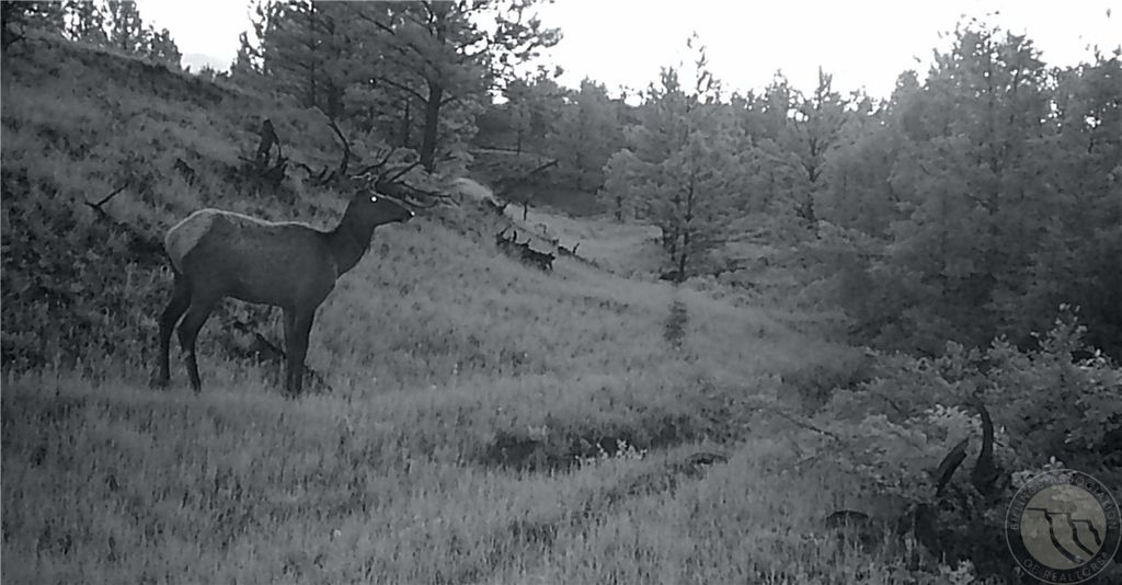 600 N Delphia Rd., Roundup, MT 59072 photo 3