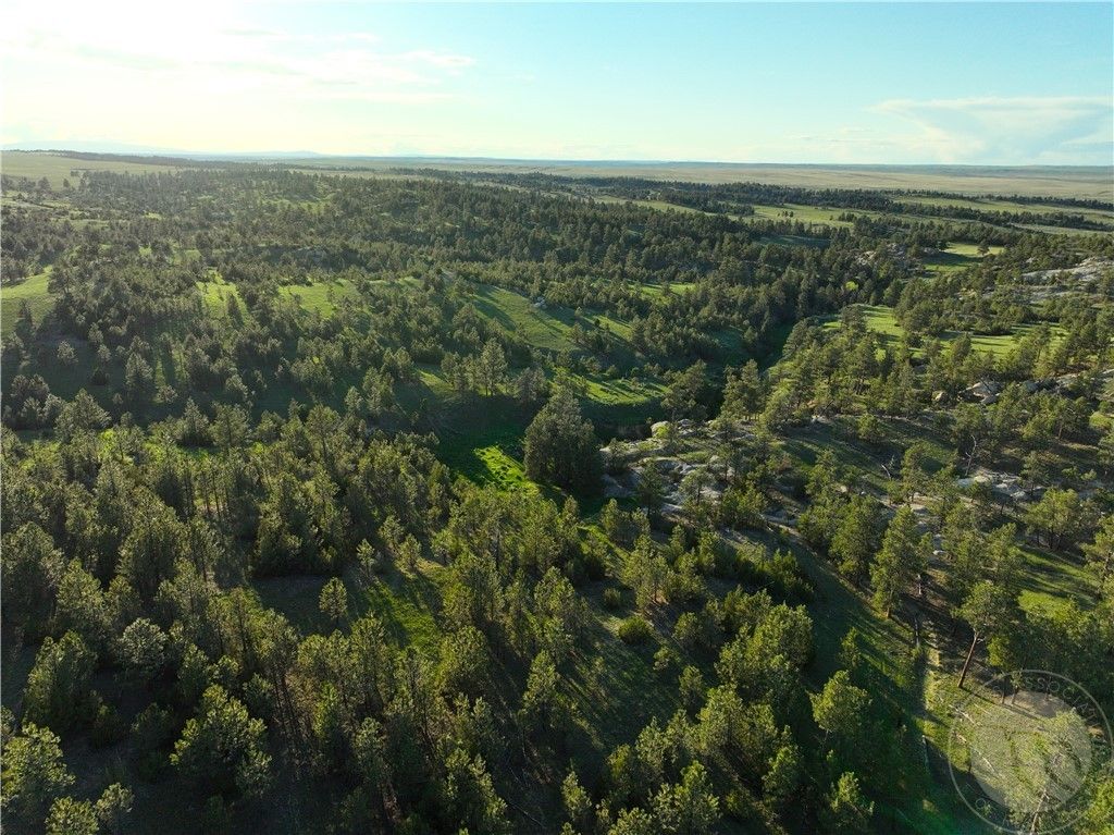600 N Delphia Rd., Roundup, MT 59072 photo 32