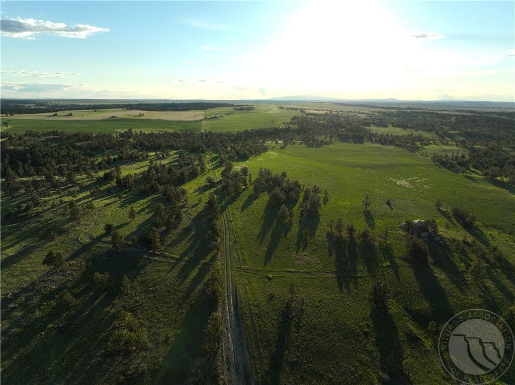 600 N Delphia Rd., Roundup, MT 59072 photo 35